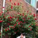 백화반점 이미지