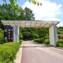 메밀꽃필무렵(전) 이미지