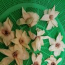 목련민박 이미지