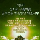 언제나예쁘다 네이버블로그