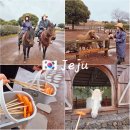 송이목장 | 서귀포 카페 목장카페 밭디 성산승마 송이밭코스 말먹이주기