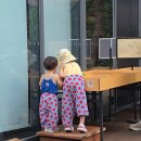노원골유아숲 | 수락산 노원골 유아숲체험원 후기｜서울근교 아이랑갈만한곳 주차팁까지