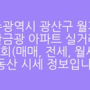 첨단금광 이미지