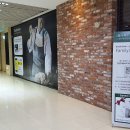 (주)스타메드 이미지