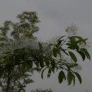 석대천로 이미지