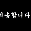 미스터샤크 수원 주짓수 킥복싱 멀티짐 이미지