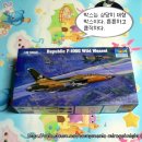 Republic F-105G Wild Weasel (1/32 TRUMPETER MADE IN CHINA) PT1 이미지