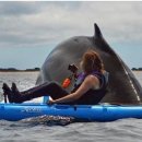 (주)우아한연구소 이미지