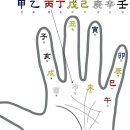 사주팔자로 도대체 뭘 본다는 겁니까 쌍판들 보기실타 이미지