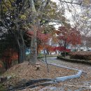 용성마을 - 1448 | 용성마을