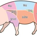 돈단지 이미지