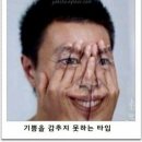 돈친 이미지
