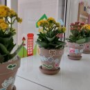 오포초등학교 병설유치원 이미지