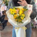 일산랩플레르