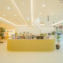 온안경콘택트 이미지