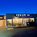 1341 | 남해읍카페 안녕남해 티슈브레드 포장 남해애견동반카페 경남데이트코스 찐후기