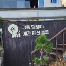 삐삐애견 | 강릉 애견 동반 숙소 댕댕이 애견 펜션 블루 삐삐랑 힐링여행