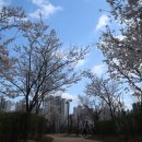 마리미공원 이미지