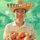 동인농장 | 용인시 특산품 알찬유정란 솔직 후기 – 신선한 유정란·구운란·초란까지 믿고 먹는 건강한 선택