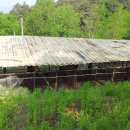 은행목장 이미지