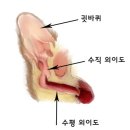 유동물병원 이미지