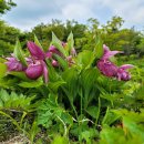 복이자원 환경 이미지