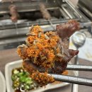 야호양꼬치 | [맛집]아산 양꼬치 훈이네양갈비&양꼬치 후기🍢 메뉴 가격 맛 주차