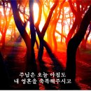 (주)대해 Daum카페