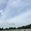 해인농장 이미지