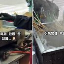 노점 동아일보