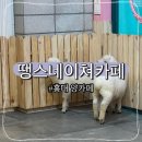 홍익로 10 서교푸르지오아파트 앞 | 땡스네이쳐 양카페 주말 방문 내돈내산 솔직 후기