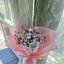향기정원 | 두호동예쁜꽃집 오월의 정원, 향기로운 스탈링장미 픽업 후기