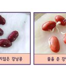 잭과콩나무