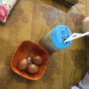 마산아구해물찜탕 이미지