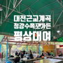 대전아줌마민박 | 대전 근교 계곡 추천 평상대여 청강수 폭포가든 수심 물놀이 포인트