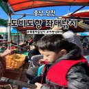 아쿠아좌대낚시터 | 당진 왜목마을자연식좌대 도비도좌대 낚시 가격 준비물 선상횟집