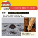 강릉초이 이미지