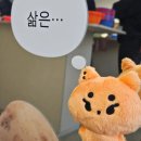 유한회사 오름 | 일상 | 쥐어짜낸 3개월 [대전/강릉여행/성수 라멘 맛집/유튜브 팬페스트 팝업 2026]