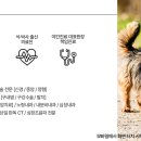 정강동물병원 이미지