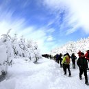 2026년01월04일 평창 대관령/선자령 탐방 예약 안내 이미지