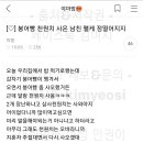붕어빵 천 원어치 사 온 남친 왤케 정떨어지지. 이미지