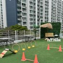 언니네 펫 | [부산 광안리] 광안리 대형카페 넓은 광안리애견카페 | 고더커피 민락DT점 &amp; 민락펫파크