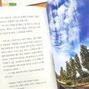 일상을 기록하는 포토에세이 이미지