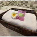 투무인텔 이미지