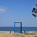 서운산단로5~6길 | 아기랑 대형견 동반 영덕 여행_1박2일 여행코스 추천_영덕 포토존