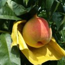 덕진농장 이미지