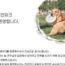 (주)애니언파크 네이버블로그