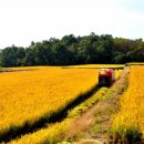 대흥경로당 이미지