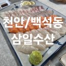 천안 백석동 횟집 추천, 부모님과 함께한 만족스러운 식사 삼일수산생선회 솔직 후기