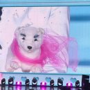 덕소중학교 | notcuteanymore••